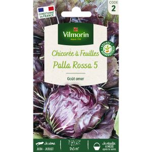 VILMORIN Chicorée ? larges feuilles Palla Rossa