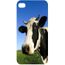 coque iphone 5 vache