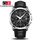 Montre homme luxe carnival