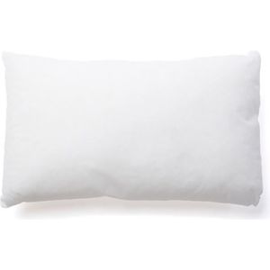 COUSSIN Interieur de coussin 30x50cm