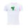 Maillot algerie