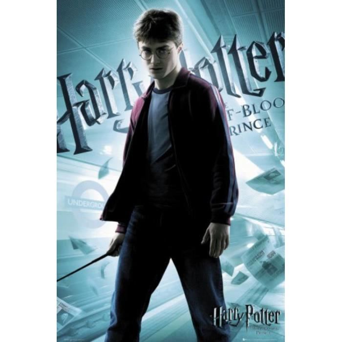 Avis Sur Harry Potter Et Le Prince De Sang-mêlé Harry Potter Poster - Et Le Prince De Sang Mêlé… - Achat / Vente