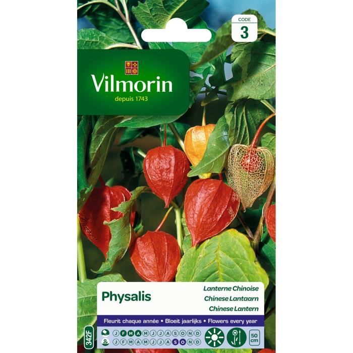 VILMORIN Physalis Lanterne chinoise