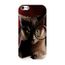 coque iphone 4 pas cher chat