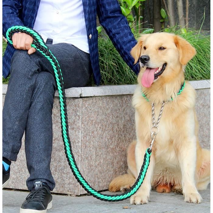 Laisse de dressage pour chien - Achat / Vente Laisse de Laisse de dressage pour chien - Achat / Vente Laisse de