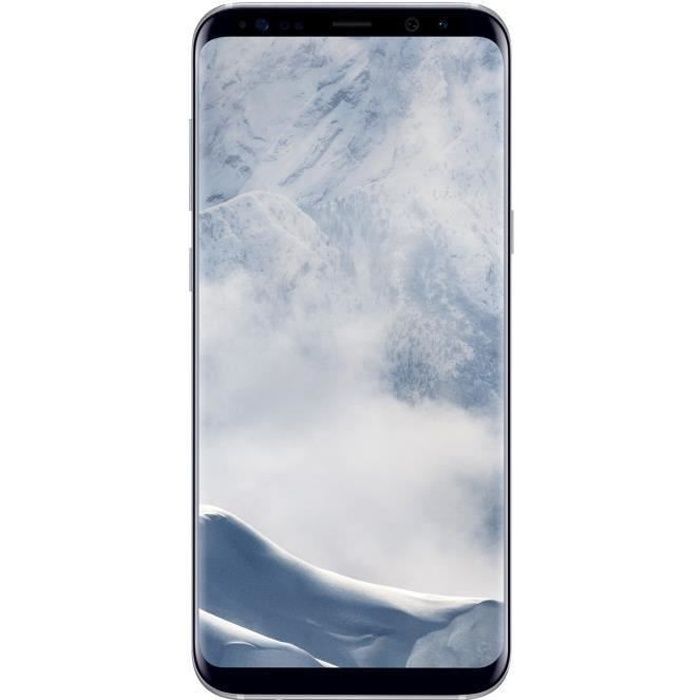 Samsung Galaxy S8+ Argent Polaire