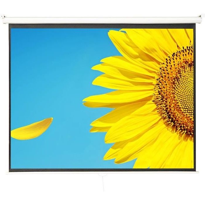 ecran blanc de projection 203cm 203cm enrou