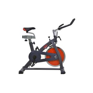 DAVID DOUILLET Vélo Spinning Magnétique