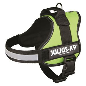 Harnais Power Julius-K9 - 0 - M-L : 58-76 cm-40 mm - Vert pastel - Pour chien