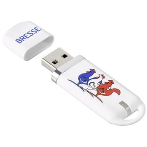 KEYOUEST Clé USB Région Bresse - 8 Go