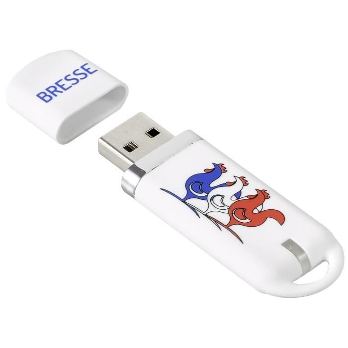 KEYOUEST Clé USB Région Bresse - 8 Go