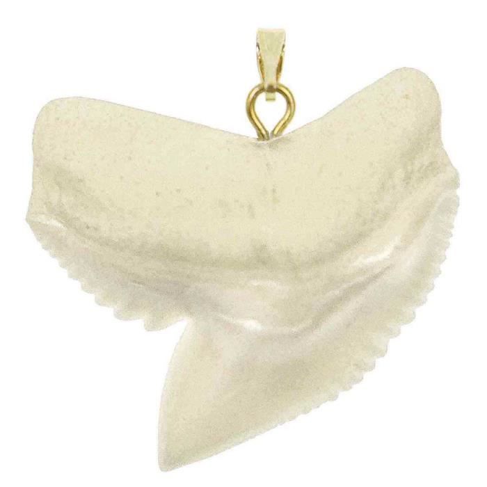 2/9 3/5 x à de tigre requin Taille cm dent à 3 Vendu 3.5 Pendentif 2/9 3/5 x à de tigre requin Taille cm dent à 3 Vendu 3.5 Pendentif