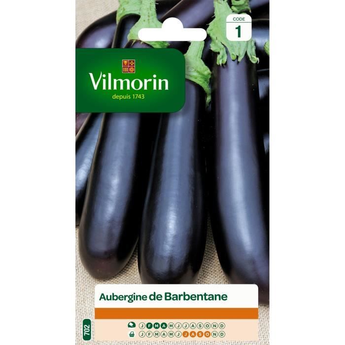 VILMORIN Aubergine de Barbentane