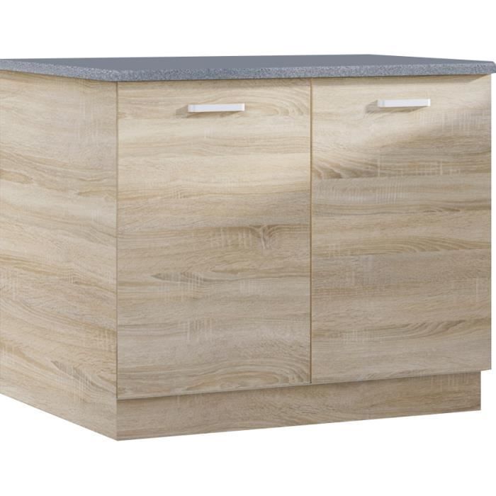 Meuble bas de cuisine style contemporain 100 cm avec 2 portes coloris