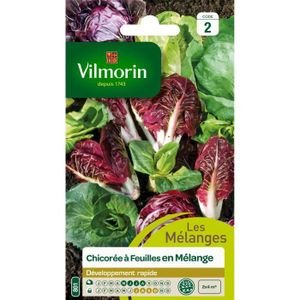 VILMORIN Chicorée ? larges feuilles en mélange