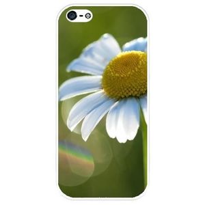 coque iphone 5 daisy coque iphone 5 daisy
