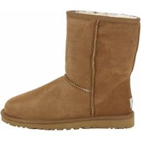 BOTTE Botte UGG Classic Short (Châtaig... BOTTE Botte UGG Classic Short (Châtaig...