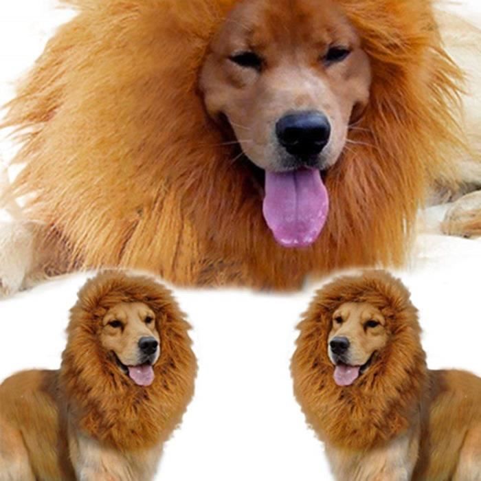 Criniere lion Achat / Vente pas cher