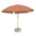 Parasol