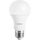 AMPOULE INTELLIGENTE XIAOMI Ampoule connectée - MiPhilips Wi-Fi - lumiè AMPOULE INTELLIGENTE XIAOMI Ampoule connectée - MiPhilips Wi-Fi - lumiè
