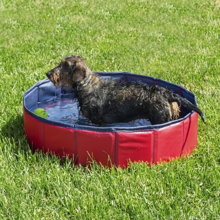 Innovagoods Piscine 80 X H 20 Cm Rouge Pour Chien Achat