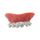 Dentier appareil dentaire