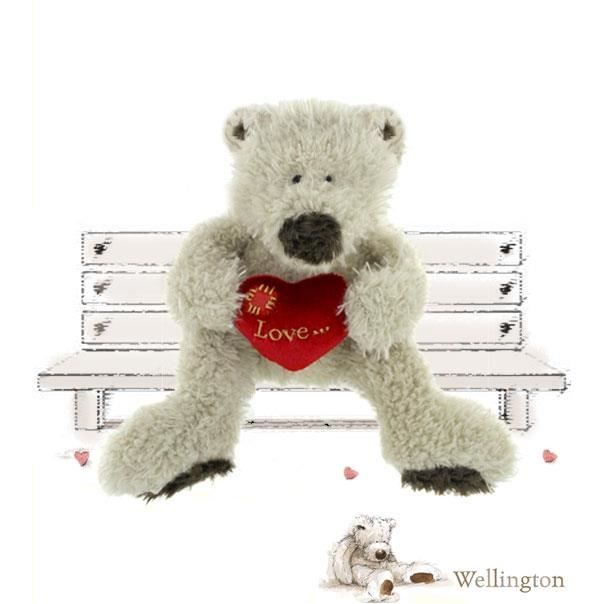 ours en peluche avec un coeur