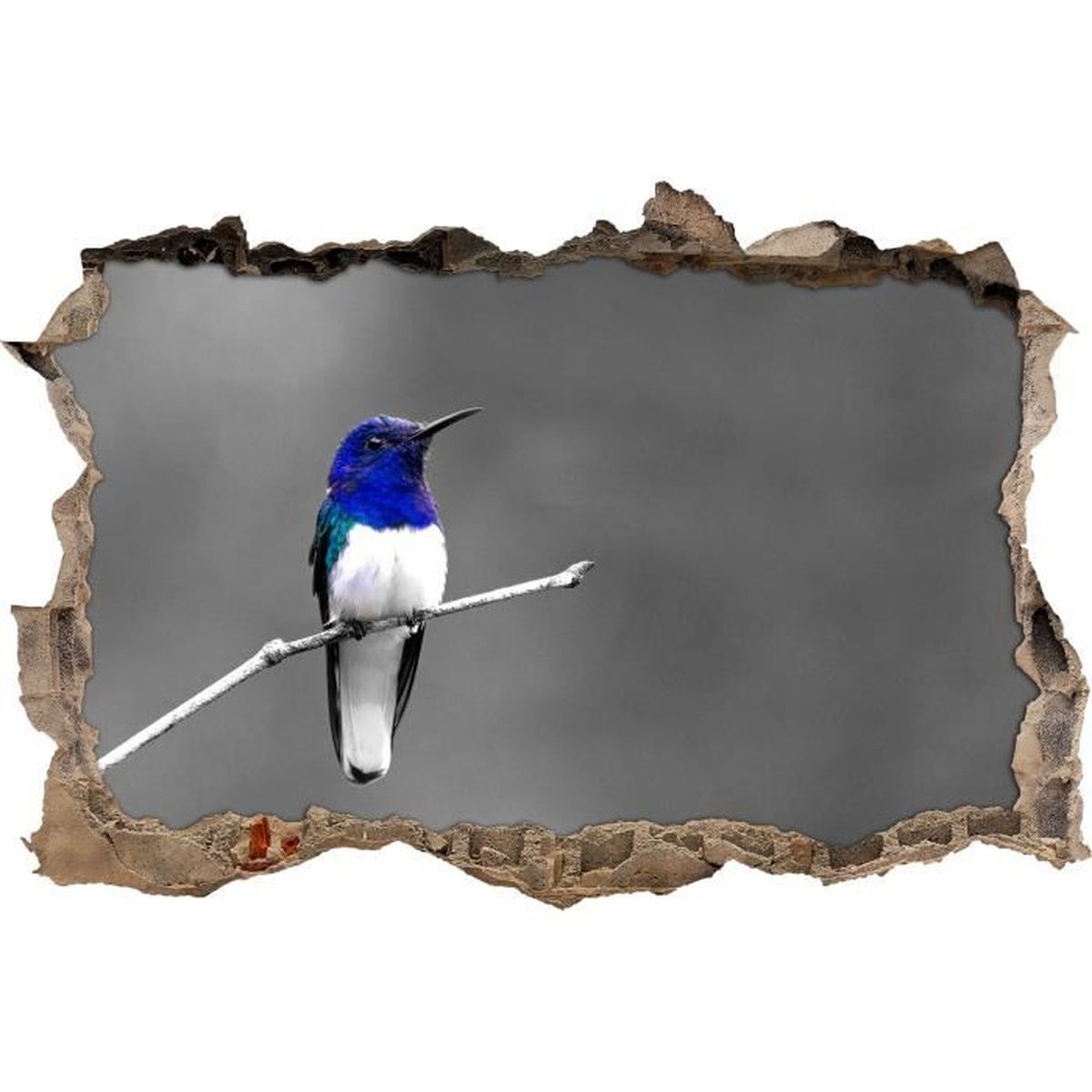 Petit Noir Joli Oiseau Mur Blanc Percée En 3d Look Mur Ou Format Vignette De La Porte 62x42cm Stickers Muraux Sticker Mural