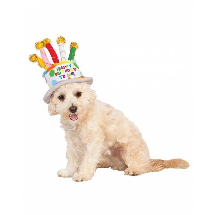  Chapeau  d anniversaire  de g teau pour chien  Size S M 