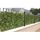 Haie artificielle de laurier sur treillage bois -