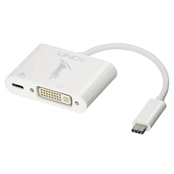 LINDY Adaptateur USB 3.1 Type C vers DVI -D - avec fonction Power delivery