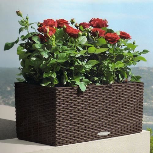 jardiniere tressee resine jardiniere tressee resine