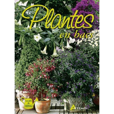 PLANTES EN POTS   Achat / Vente livre T Ratsch pas cher  