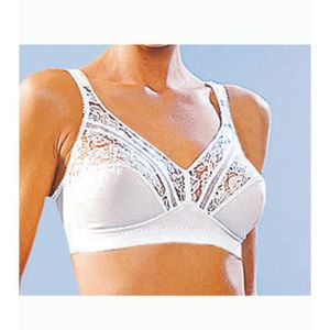 soutien gorge grande taille grand maintien achat vente soutien gorge grande taille grand maintien achat vente