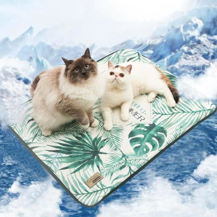 Tapis De Jeu Pour Chiens Ou Chats Rafraichissante Taille Xl