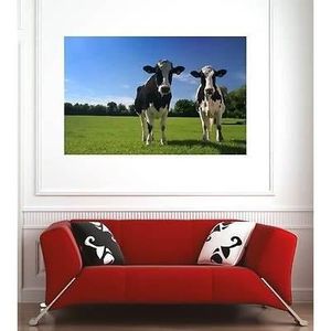 AFFICHE Affiche poster décoration murale Vaches réf 175605