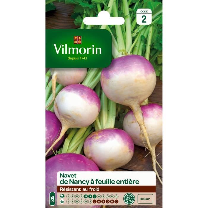 VILMORIN Navet de Nancy à feuille entière