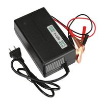 CHARGEUR DE BATTERIE Tondeuse automatique de moto de camion de voiture CHARGEUR DE BATTERIE Tondeuse automatique de moto de camion de voiture
