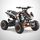 Quad Enfant 110 cm3 - PANTHERA Limited Edition 201