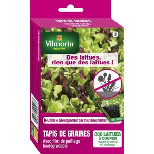 graine pas cher pour potager graine pas cher pour potager