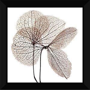 Tableau encadré 60x60 - Feuilles séchées tilleul