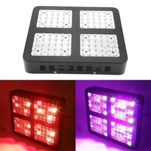 600w Lampe Pas Cher Achat Led Vente iZkXOPuT