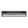 Piano numérique CASIO CDP-130 avec adaptateur