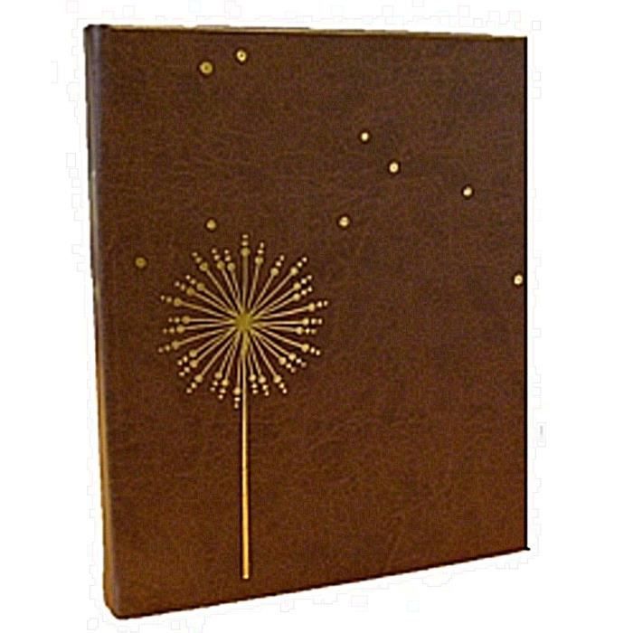 PANODIA Album traditionnel Opale 120 vues Marron