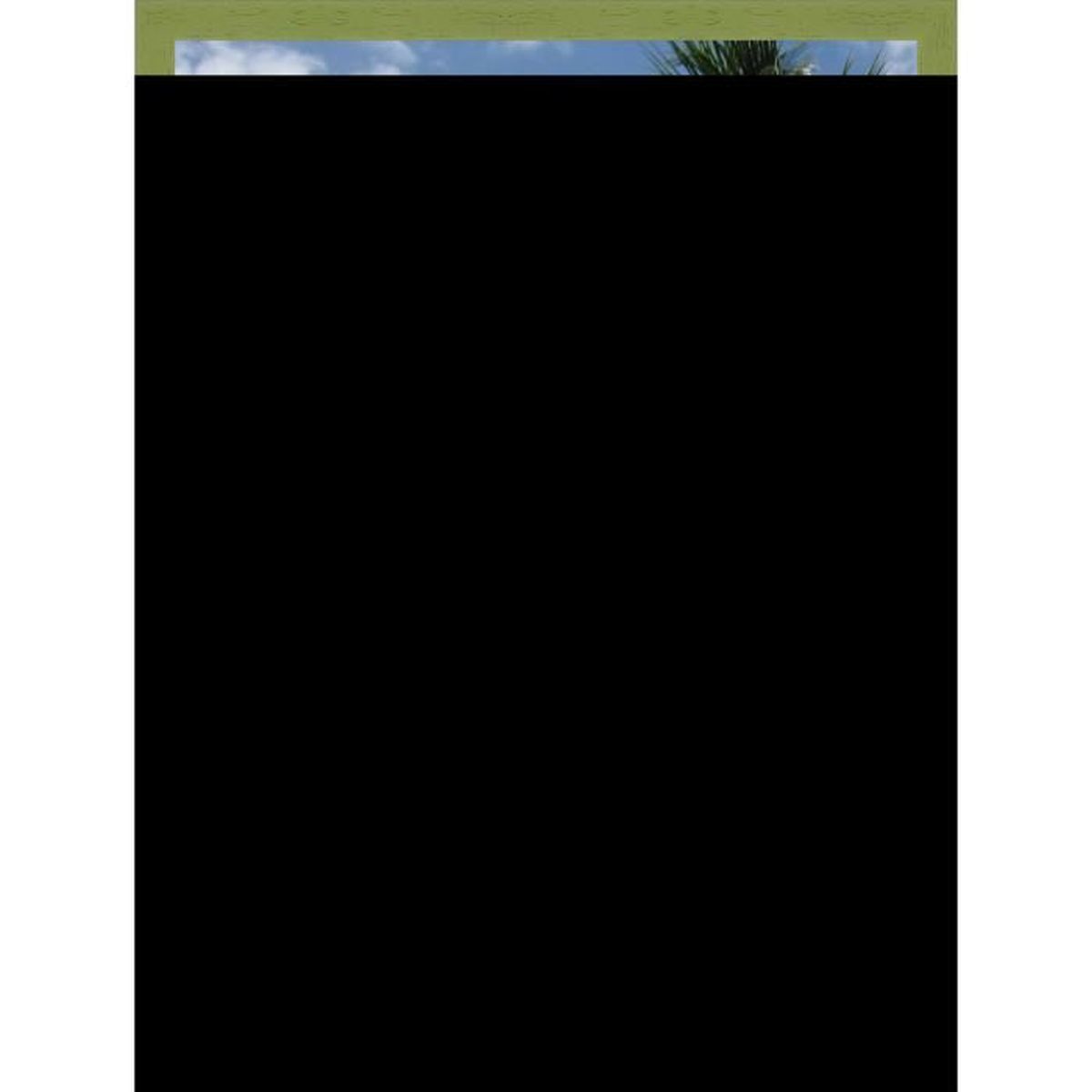 Cadre Photo Mural 30x40 30 X 40 Cadre Vert Olive 3 Cm De Largeur