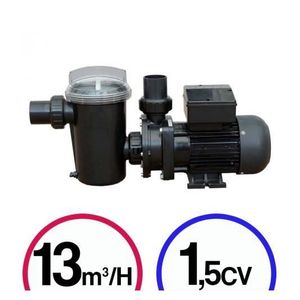 pompe piscine 1 5cv