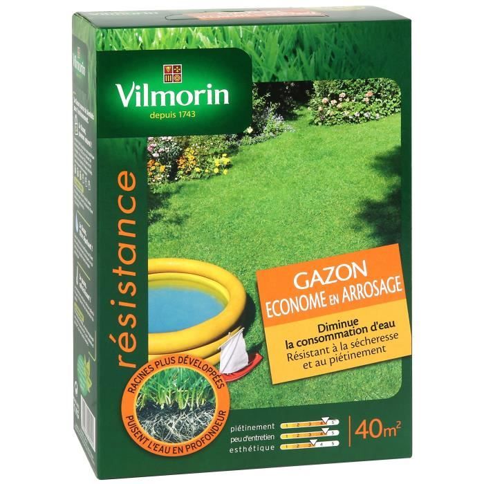 VILMORIN Graines Gazon ECONOME EN ARROSAGE 40 m² - 1 kg - Achat / Vente ...