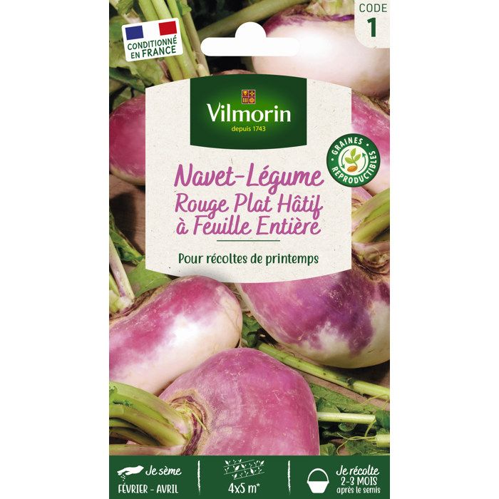 VILMORIN Navet rouge plat hâtif à feuille entière