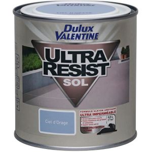 Peinture Valentine Achat Vente Pas Cher