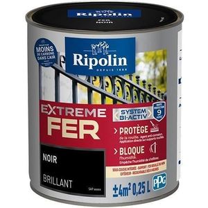 Renaulac Peinture Fer Noir Brillant Garantie 10 Ans 25l